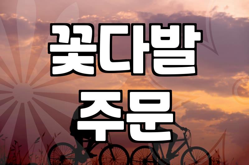꽃다발 주문, 예쁘기만 하면 될까? 현실적인 고민들