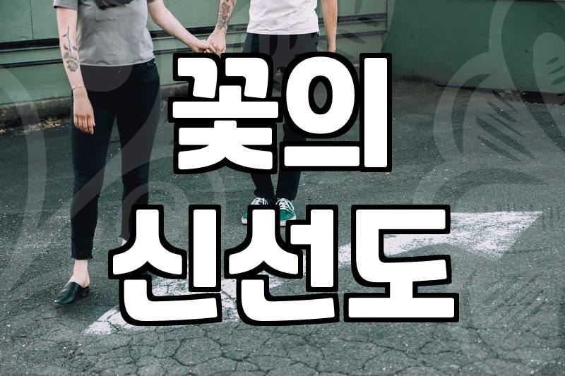 실패 없는 꽃다발 고르는 법