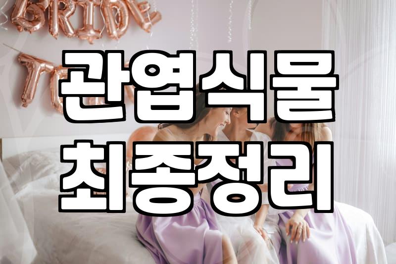 개업화분, 실패 없이 센스 있게 고르는 법