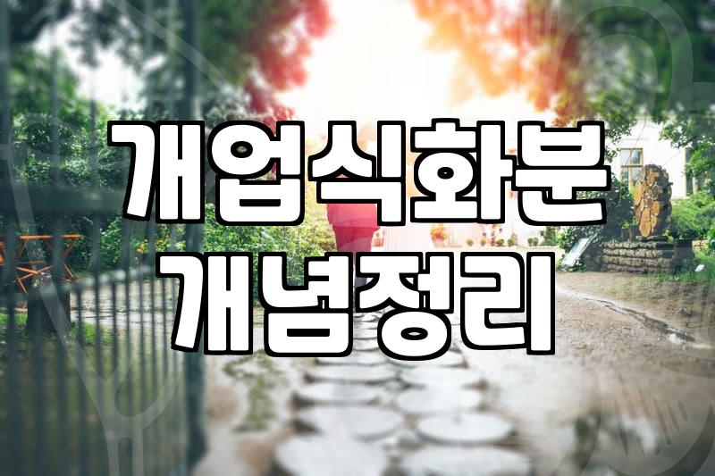 고급개업화분 선택 기준과 가격대 확인하기