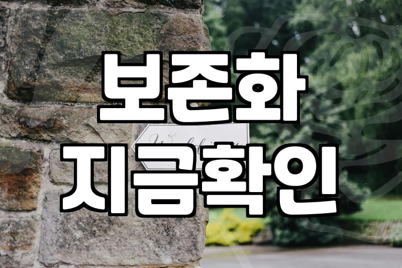 40대여자생일선물로 꽃을 고를 때 실수를 줄이는 현실적인 기준