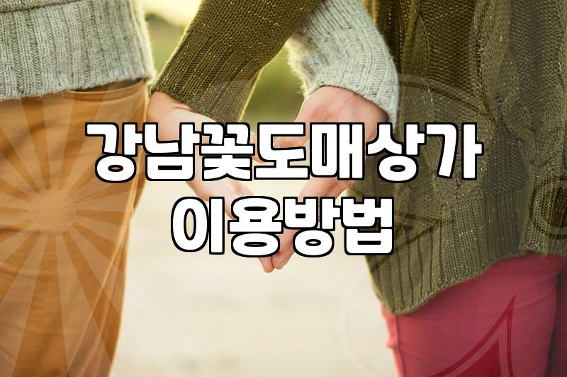 강남고속터미널 꽃시장 이용할 때 알아두면 좋은 점들