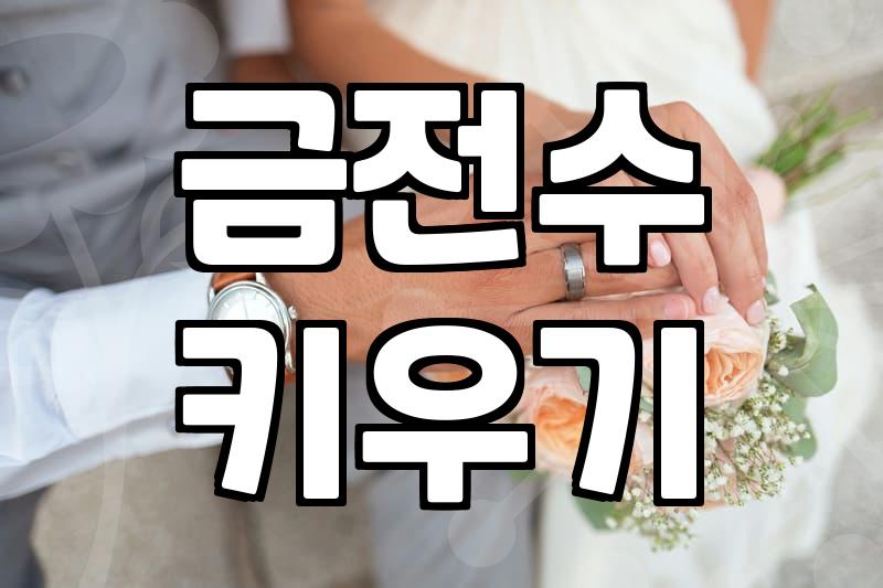 개업화분금전수 선택할 때 꼭 알아야 할 관리 환경과 식물 특징