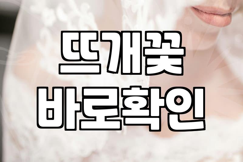 잠실 근처 뜨개꽃집 찾다가 동탄까지 갈 뻔 했네