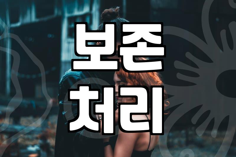 시들지 않는 꽃 프리저브드플라워 선택 전 알아야 할 현실적인 기준
