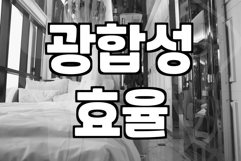 집안 분위기 바꾸는 이쁜식물 고를 때 실패하지 않는 법