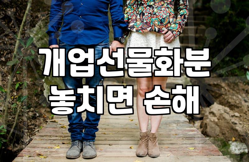 개업화분추천 기준과 관리하기 쉬운 식물 고르는 법