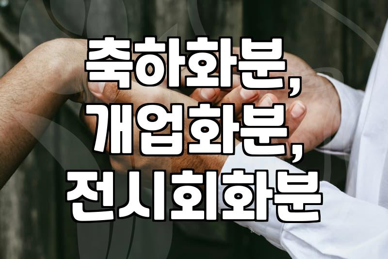 전시회나 개업식 축하 화분, 어떤 걸로 보내야 할까?