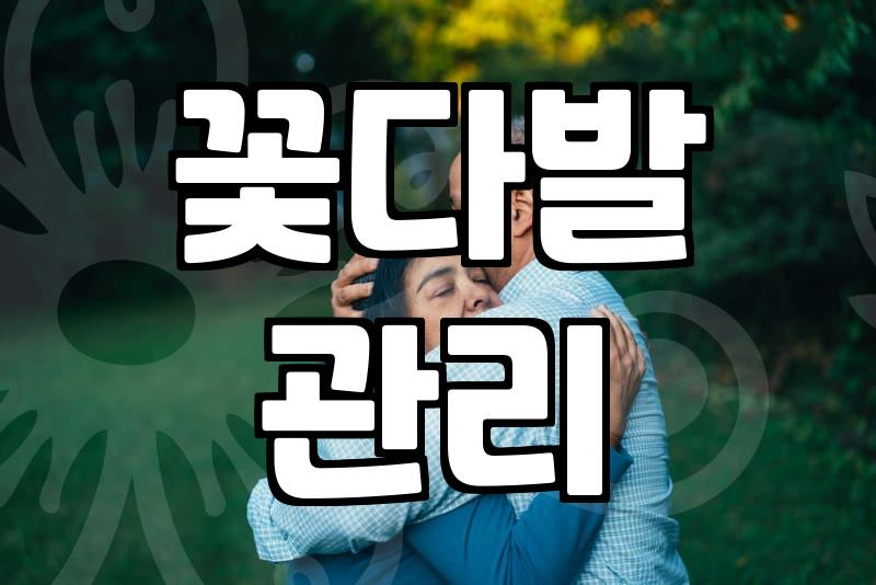 장미꽃100송이 준비할 때 알아야 할 현실적인 조언