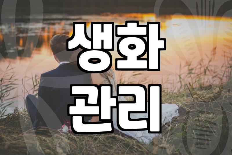 갑자기 꽃을 샀는데 집안 분위기가 생각보다 많이 바뀌네