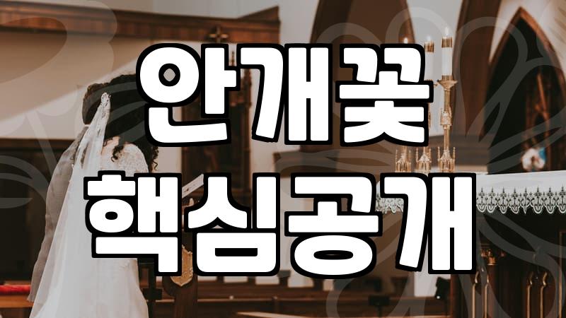 장미꽃 한 송이 가격, 따져보니 생각보다 복잡하네?