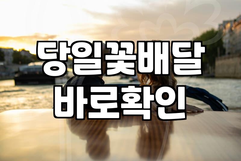 당일 꽃배달, 정말 3시간 안에 도착할까? 현직자의 솔직한 경험담