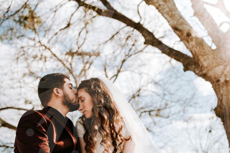 소소한 기념일이나 일상의 응원으로 선택하는 작은꽃다발 고르는 세심한 기준