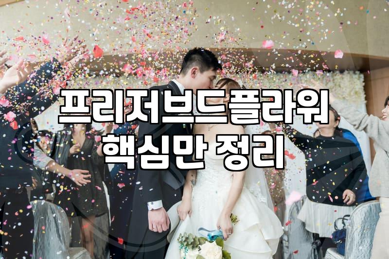 안개꽃 상태별 보관법과 싱싱하게 오래 유지하는 환경 조건
