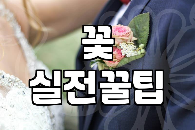 프리저브드꽃다발, 장점만 보고 샀다간 후회한다