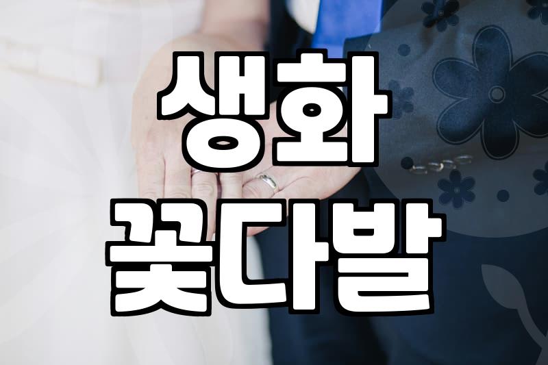 안개꽃 가격 결정 기준과 신선도 유지하는 법