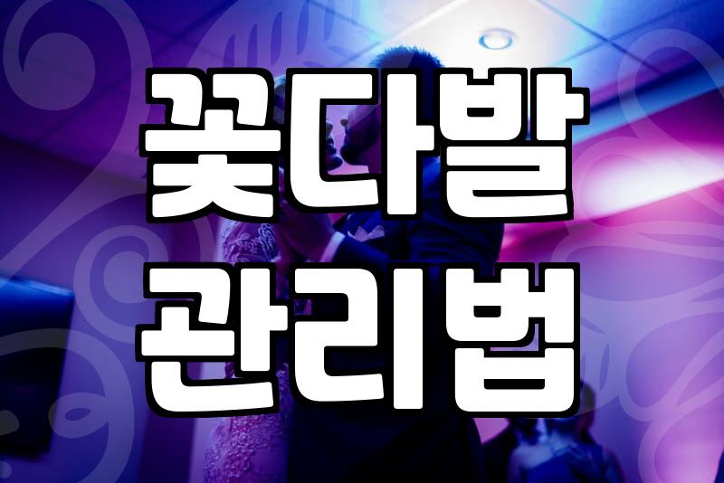 특별한 날 건네는 꽃다발, 실패 없이 준비하는 실전 팁