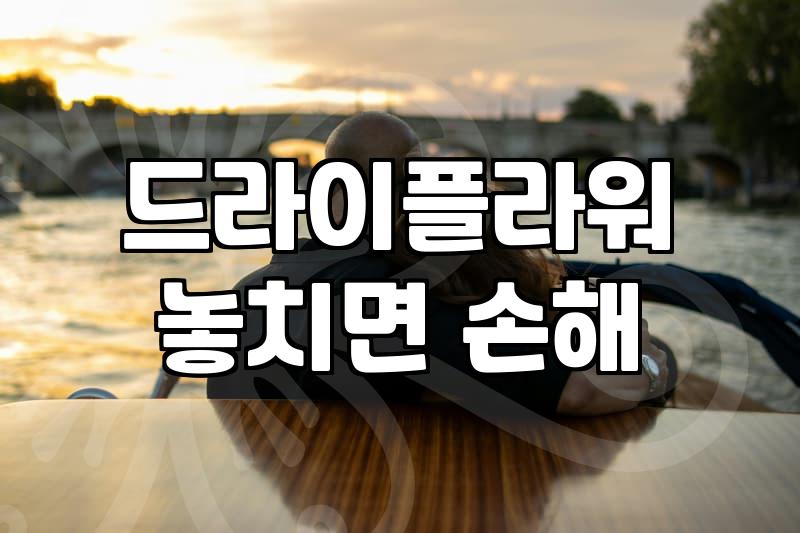 안개꽃 관리법과 오랫동안 형태를 유지하는 보관 방법