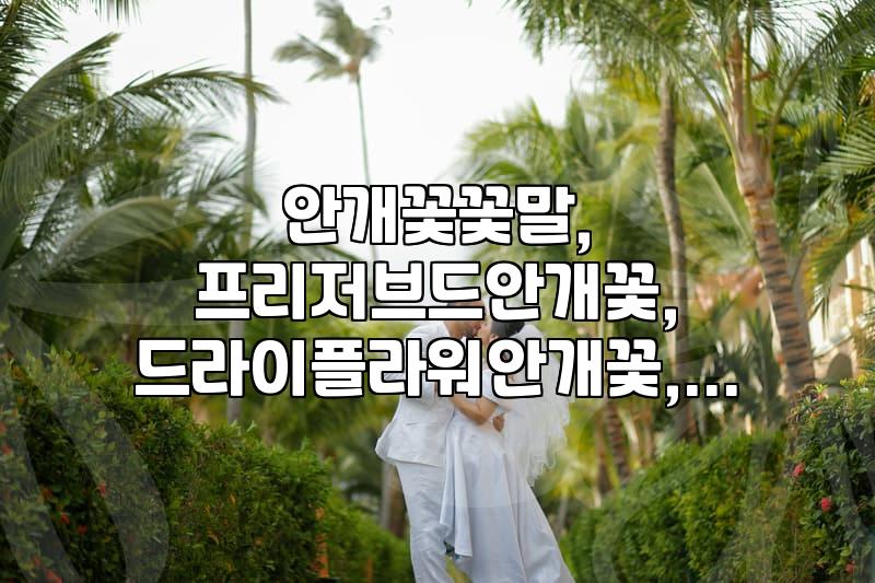 안개꽃, 맑은 사랑과 함께라서 행복한 꽃말의 매력
