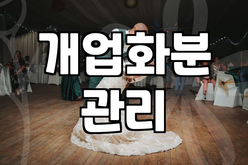 개업식이나 승진 때 화분을 선물하기 전에 고려해야 할 현실적인 문제들