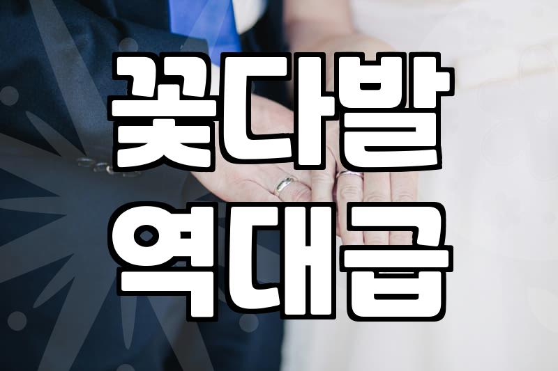 실패 없는 졸업식꽃 선택을 위한 현실적인 조언