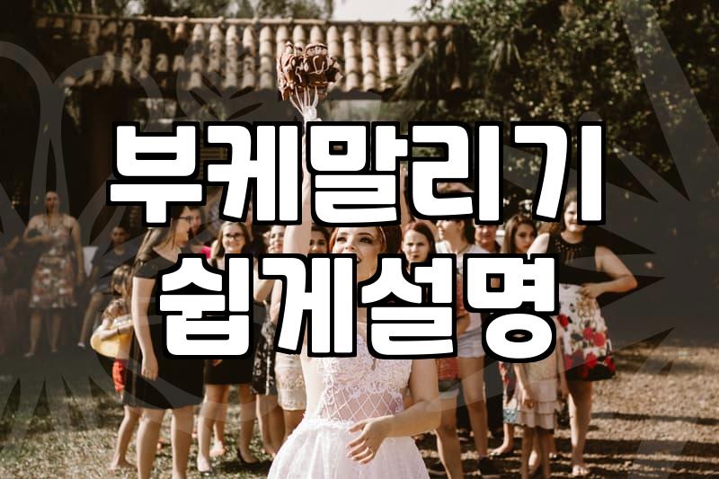 드라이플라워를 집에 들이기 전, 우리가 몰랐던 현실적인 고민들
