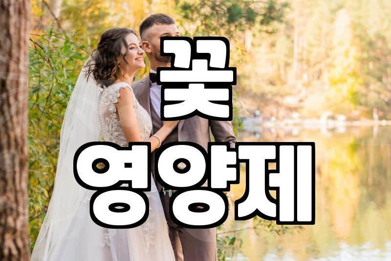 해바라기꽃다발 선물할 때 실패하지 않는 전문가의 실전 조언
