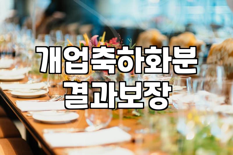 병원개업화분 고를 때 고려해야 할 공간과 생육 조건