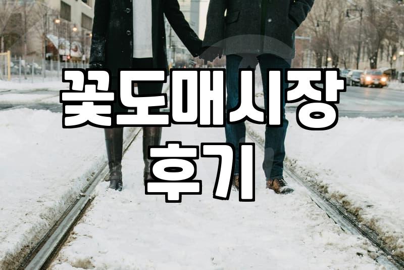 꽃 시장을 다녀와 보니, 예쁜 쓰레기라는 말이 왜 나왔는지 알겠더라