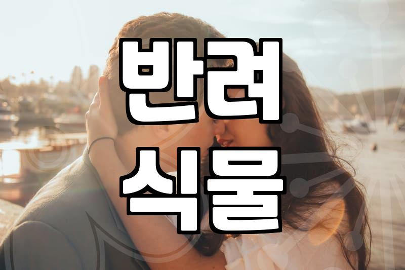 봉담화원 이용하기 전 알아야 할 식물 관리와 구매 전략