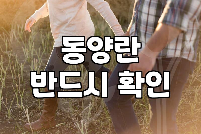 승진·영전 축하, 축영전 화환 고르는 현명한 방법