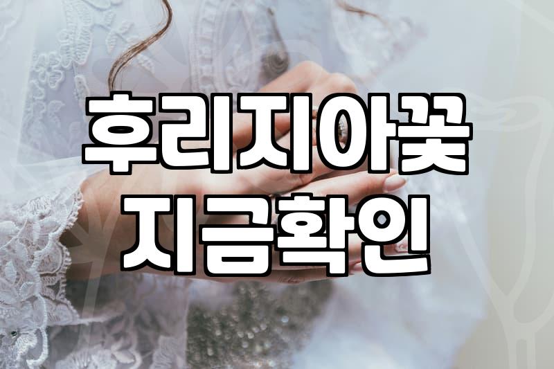 프리지아꽃다발 관리 방법과 계절별 가격대와 구매 팁