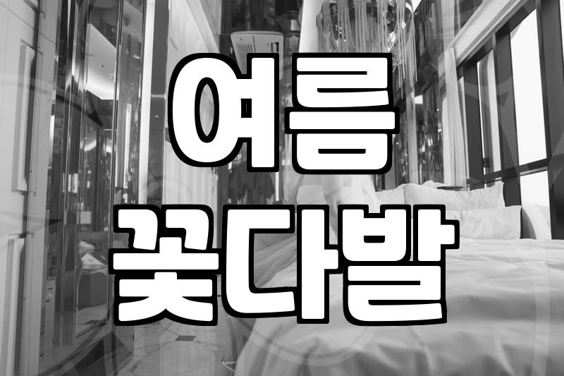 수국꽃다발 가격과 생명력을 결정하는 3가지 관리법