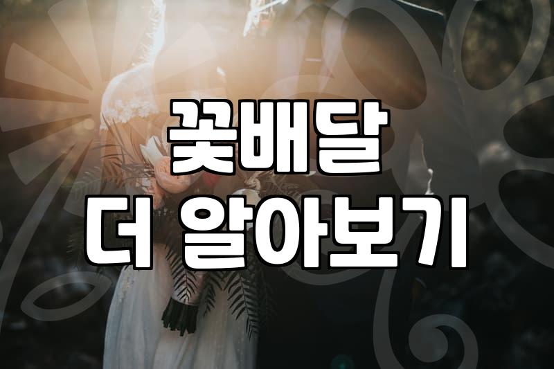 전국꽃바구니배달, 실패 없는 선택 가이드